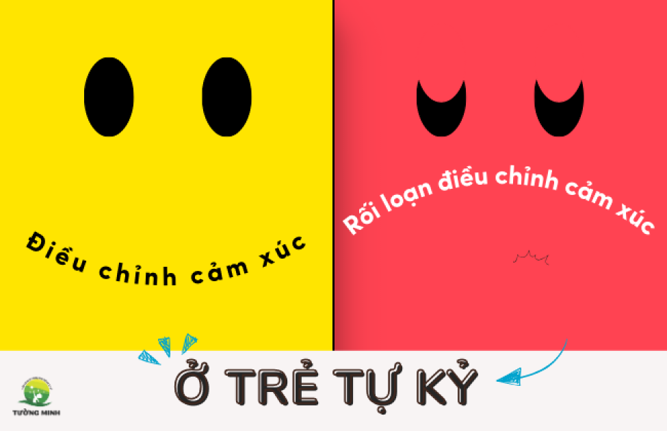 Điều chỉnh cảm xúc và rối loạn điều chỉnh cảm xúc ở trẻ tự kỷ